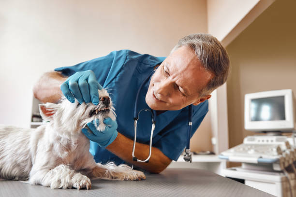 Best Dentist for Tooth Abscess  in Keokuk, IA